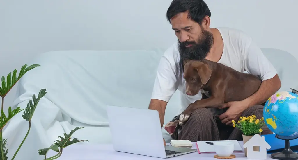 How to register your pets when you move
